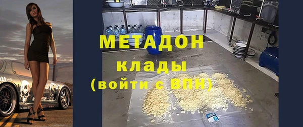 ПСИЛОЦИБИНОВЫЕ ГРИБЫ Вяземский