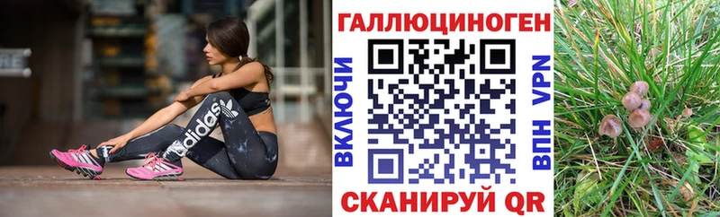 Псилоцибиновые грибы GOLDEN TEACHER  Инта 